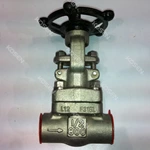 Forged Stainless Steel Gate Valve