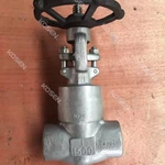 Forged Stainless Steel Gate Valve
