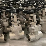 Forged Stainless Steel Gate Valve