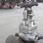 Forged Stainless Steel Gate Valve