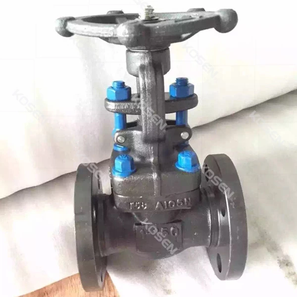 Forged Steel Gate Valve