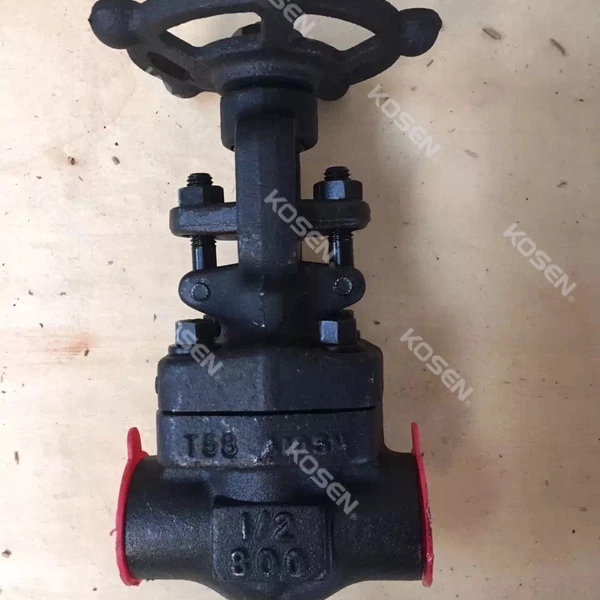 Forged Steel Gate Valve