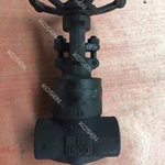 Forged Steel Gate Valve