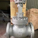 Cast steel Globe Valve