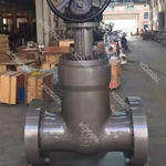 Power Station Gate Valve