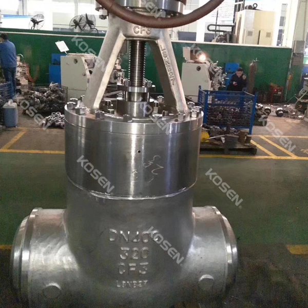 Power Station Gate Valve