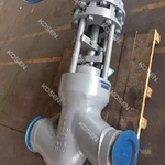 Power Station Globe Valve