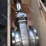 Stainless Steel Gate Valve