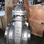 Stainless Steel Gate Valve