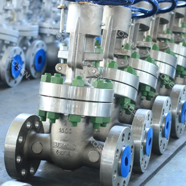 Stainless Steel Gate Valve