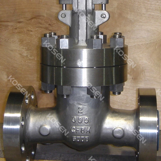 Stainless Steel Gate Valve