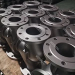 Stainless Steel Globe Valve