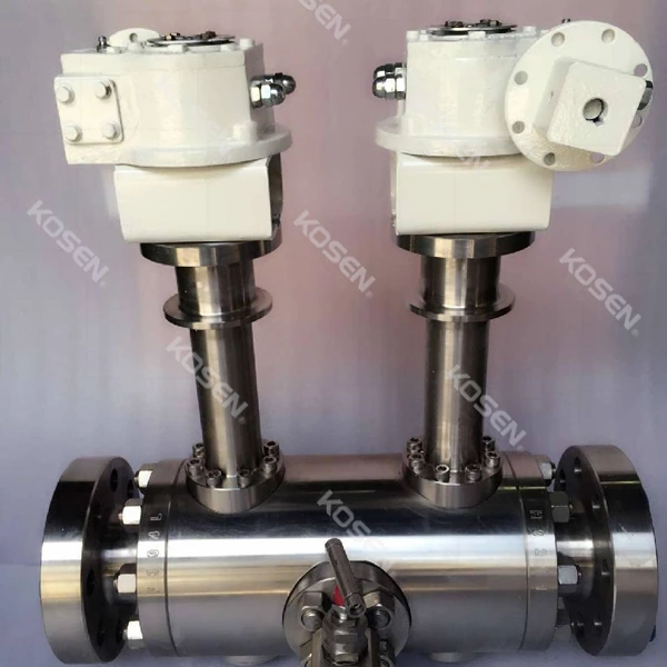 Trunnion DBB Ball Valve