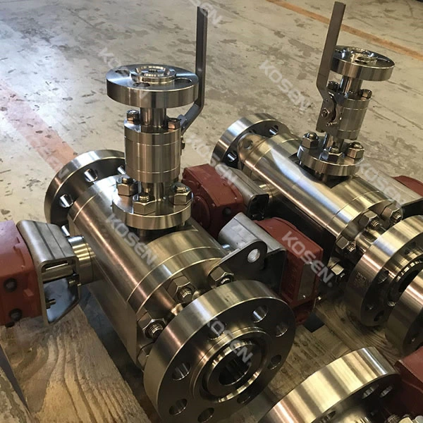 Trunnion DBB Ball Valve