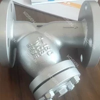 Cast Y Strainer
