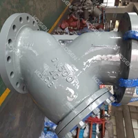 Cast Y Strainer