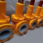 PTFE Lined Safety Valve