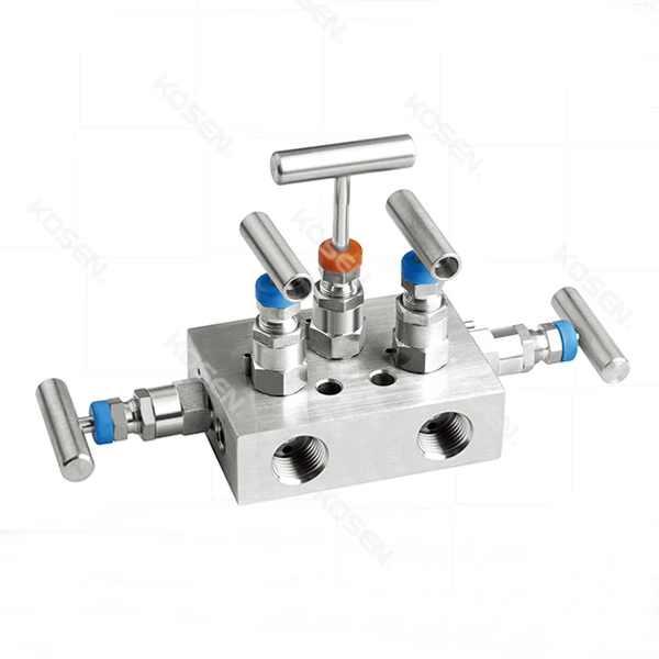 5 Valve Manifold