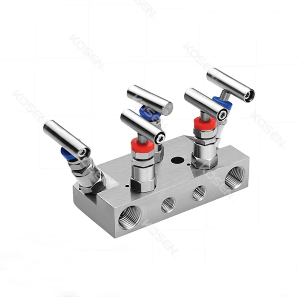 5 Valve Manifold