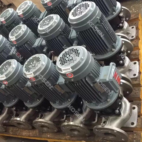 Cast Iron Magnetic Pump