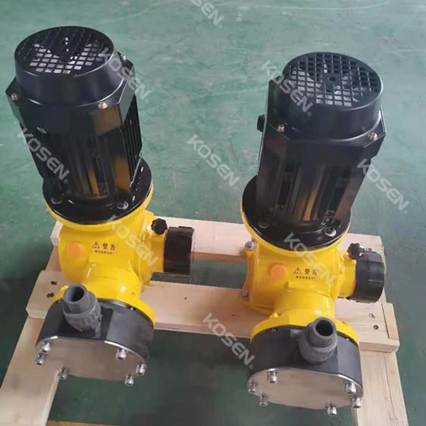Diaphragm Metering Pump