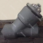 Y Type Check Valve