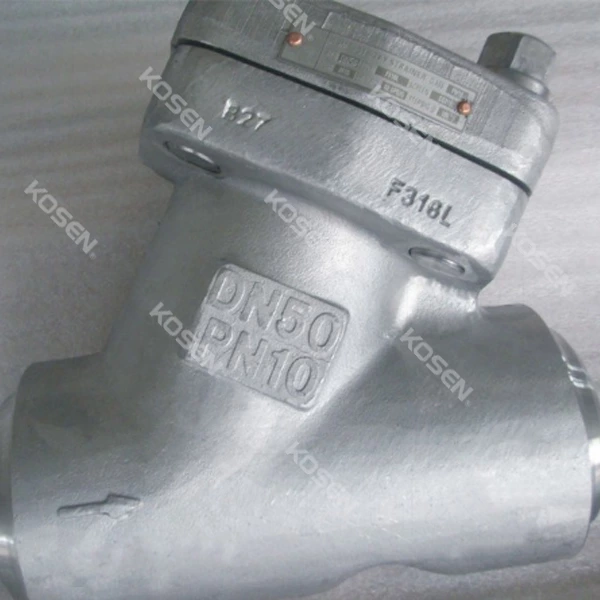 Y Type Check Valve