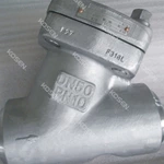 Y Type Check Valve